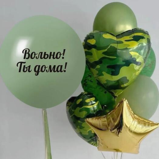 Шары дембель 23 февраля