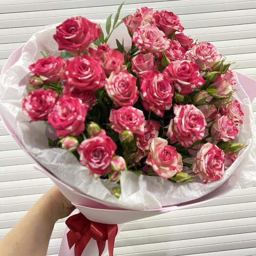 5 bush marble roses "Wow"