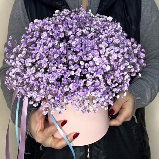 Коробка из гипсофил