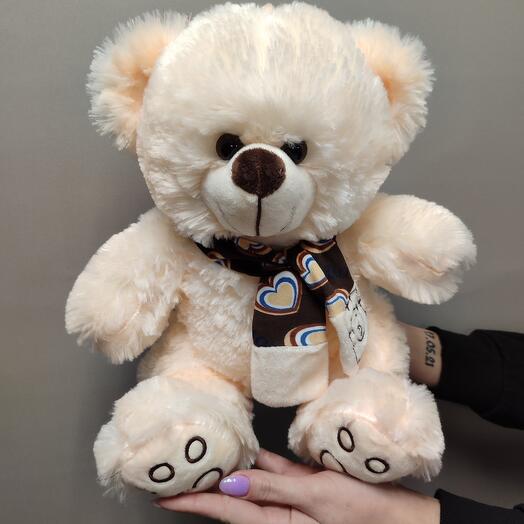 Bear Ben