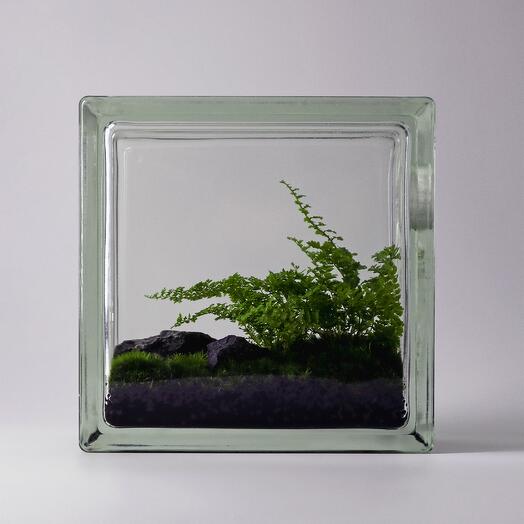 Florarium Window 3
