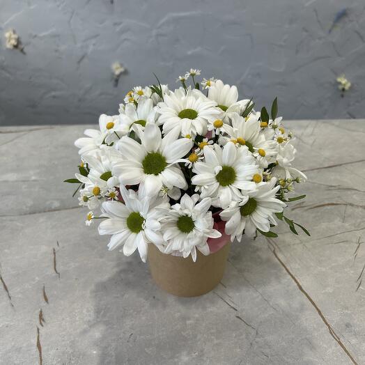 Ромашки в стаканчике 🌼