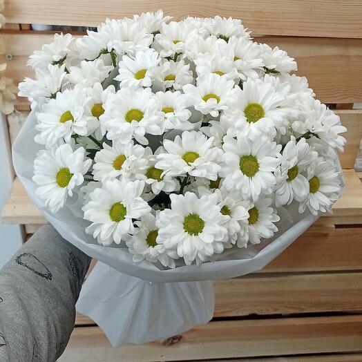 11 ромашковых хризантем