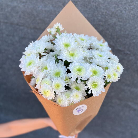 White chrysanthemum 🌿