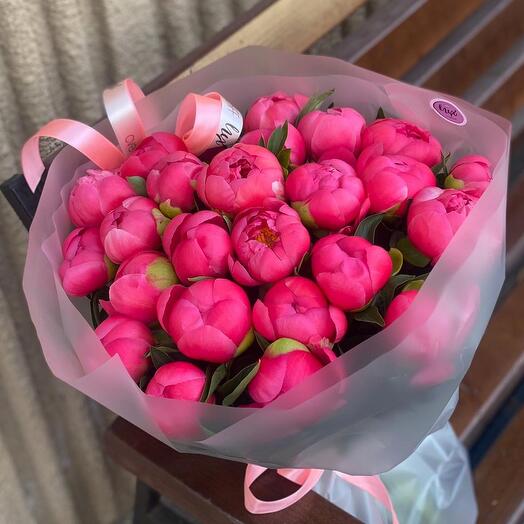 Коралловые пионы 25 штук