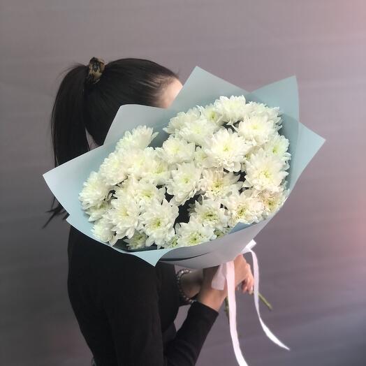 5 Кустовых Хризантем DR0150346