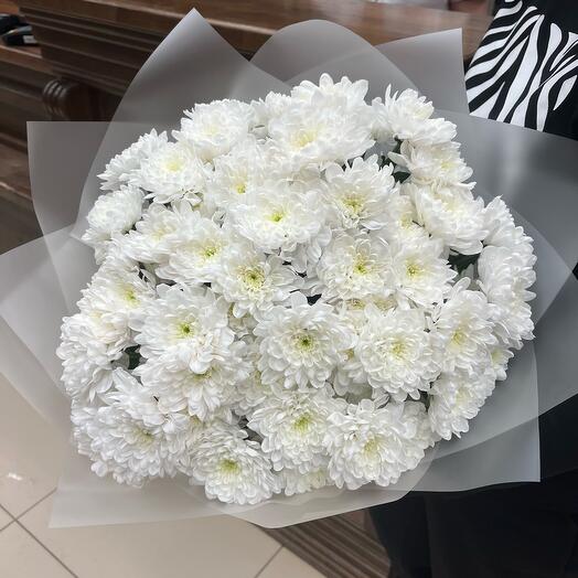 9 snow-white chrysanthemums