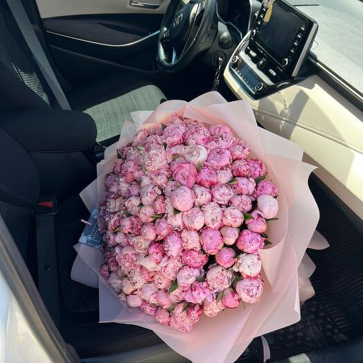 101 peony