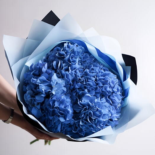 Hydrangea Ocean Blue