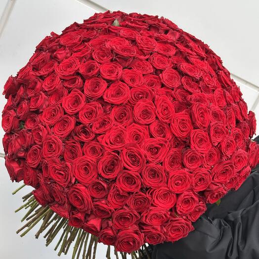 Bouquet of 201 roses