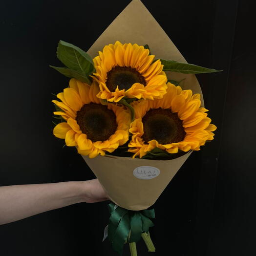 Sun Flowers