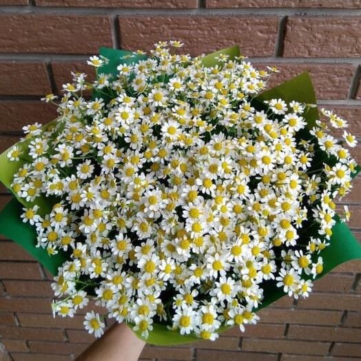 Пышный букет кустовых ромашек