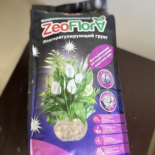 Грунт для выращивания в условиях недостатка света