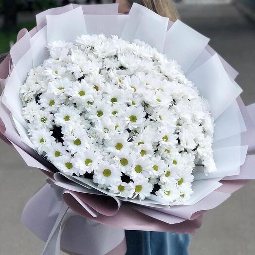 Премиум ромашки Бакарди