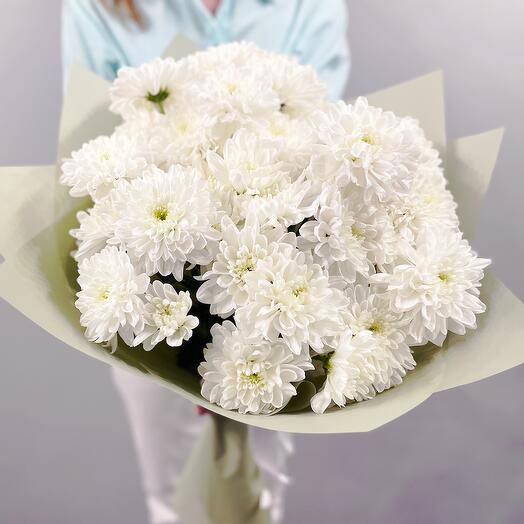 Spray chrysanthemums
