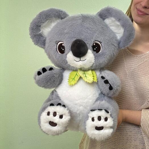 Коала малыш