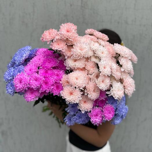 Хризантема кустовая цветная 🌸