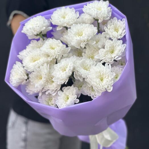 Хризантема кустовая нежная