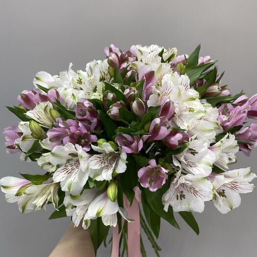 Альстромерия 19 штук под ленту