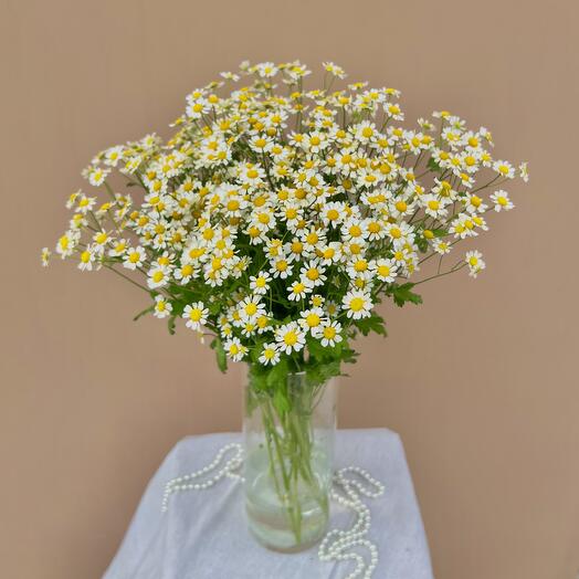 Букет летних ромашек - солнечное настроение в вашем доме