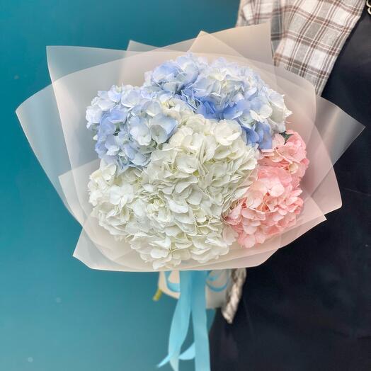 Нежный букет гортензий, 5 шт