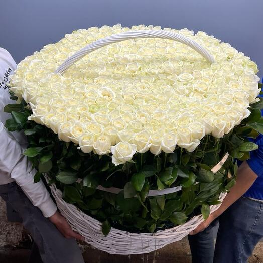Большая корзина из белых роз
