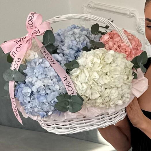 Корзина CLOUD S