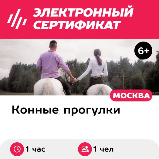 Подарочный сертификат Катание на лошади для 1 человека (1 час) (Московская область)
