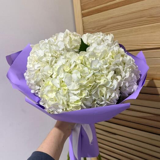 Гортензия 5 шт 💜