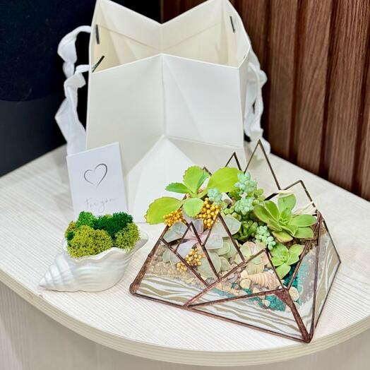 Комбо Флорариум + ракушка со мхом, подарок любимой