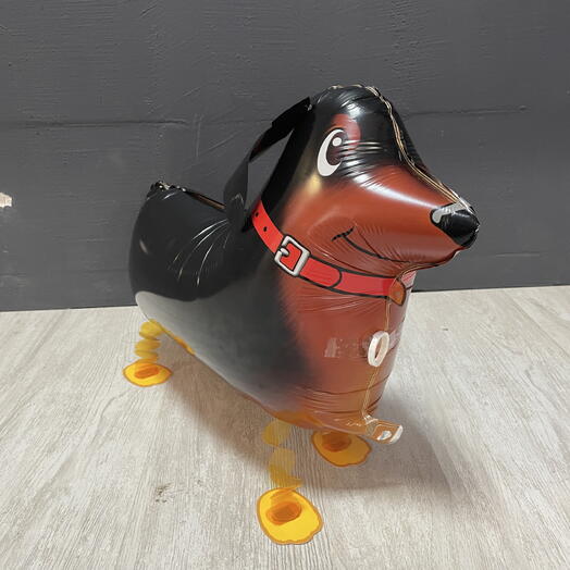 Ходячий шар такса