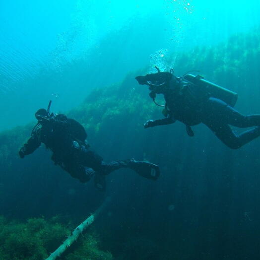 Подарочный сертификат «Курс по дайвингу PADI Open Water Diver» (1 курс, 1 человек)