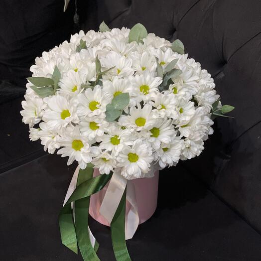 Ромашковая полянка🥰