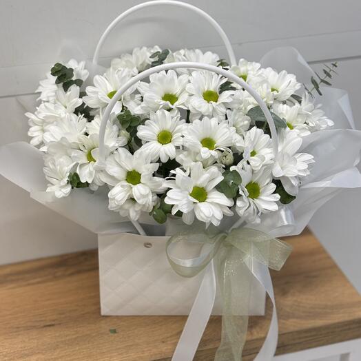 Ромашковое поле 🥳