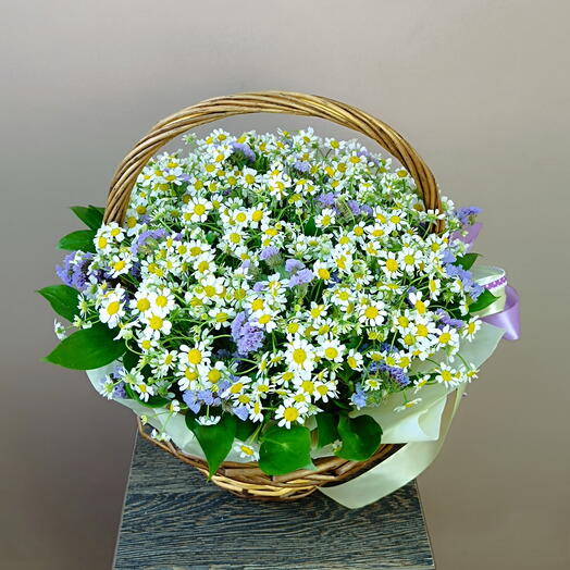 Корзина с ромашками и статицей
