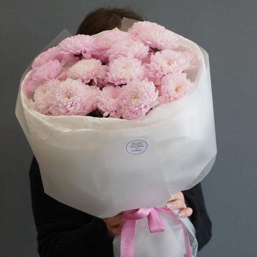 Нежная хризантема