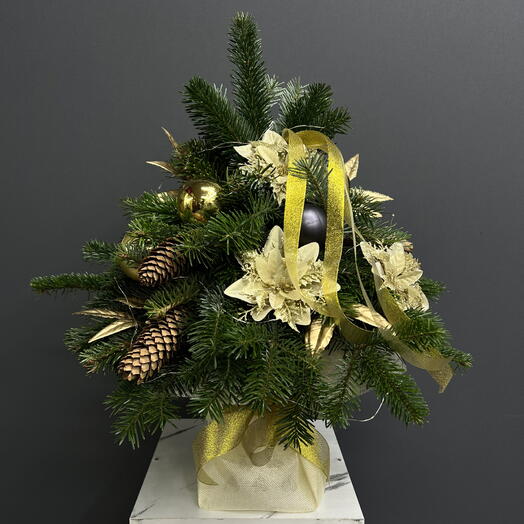 Ароматная Елка «Бой курантов» в кашпо