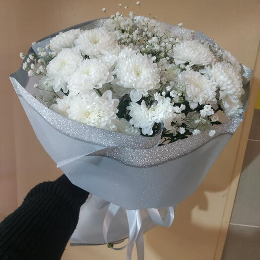 Зимний сад