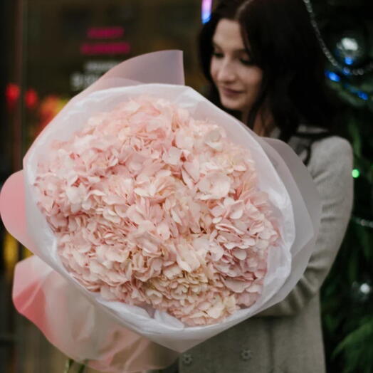 Облачко из гортензий