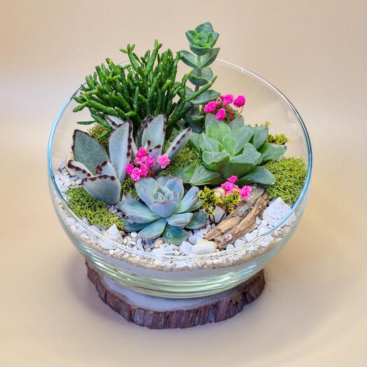 Флорариум Яркие эмоции