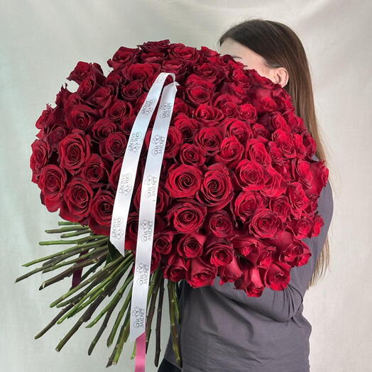 101 голландская роза «Эксплорер»