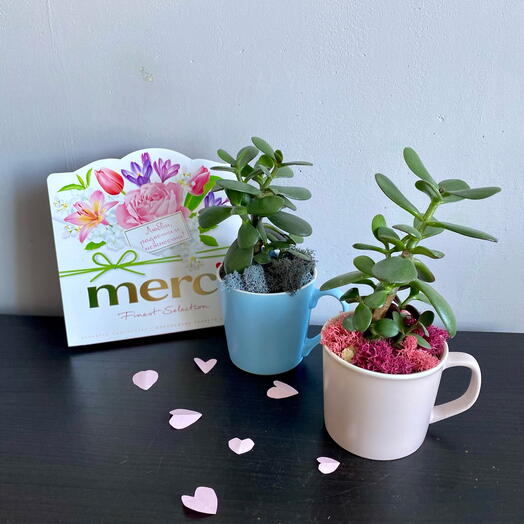 Подарочный набор