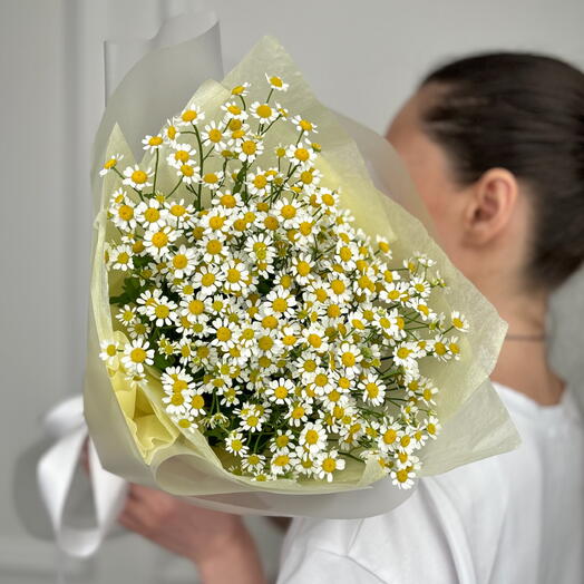 Летний букет ромашек