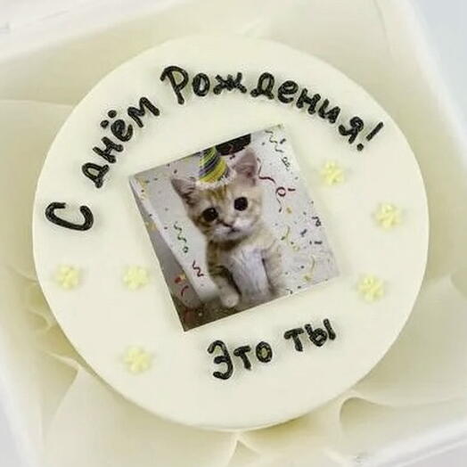 Бенто торт на день рождения для парня "Котик"