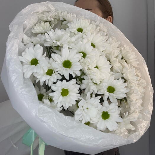 Ромашка (7)