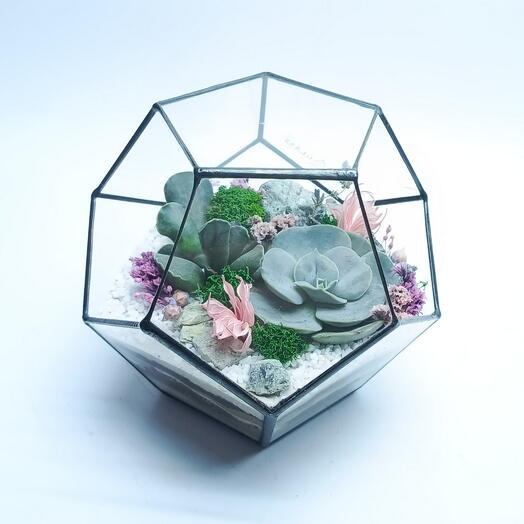 Florarium dodecahedron "Gentle"