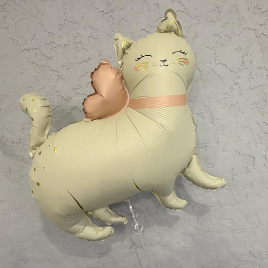 Шар кошечка
