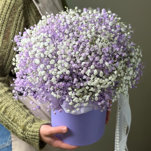 Композиция из гипсофилы L