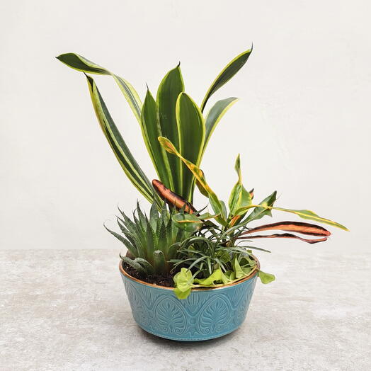 "Urban Tropics"