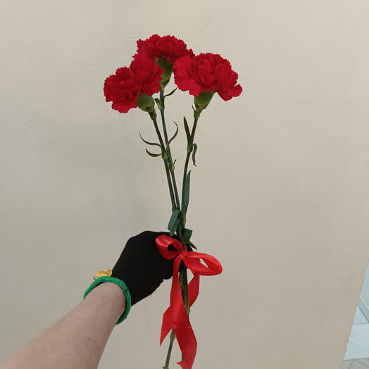 Букет из 3 красных Гвоздик